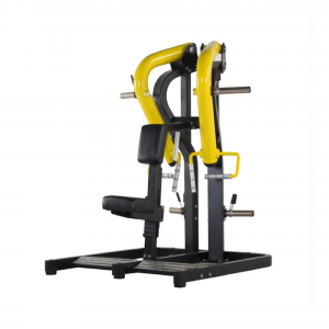 Free Weight Low Row